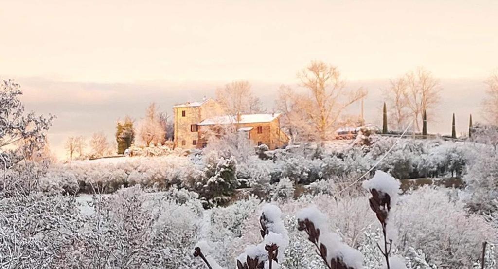 Grove Cottage: Immersed In Nature & Close To Town Citta della Pieve Exterior photo