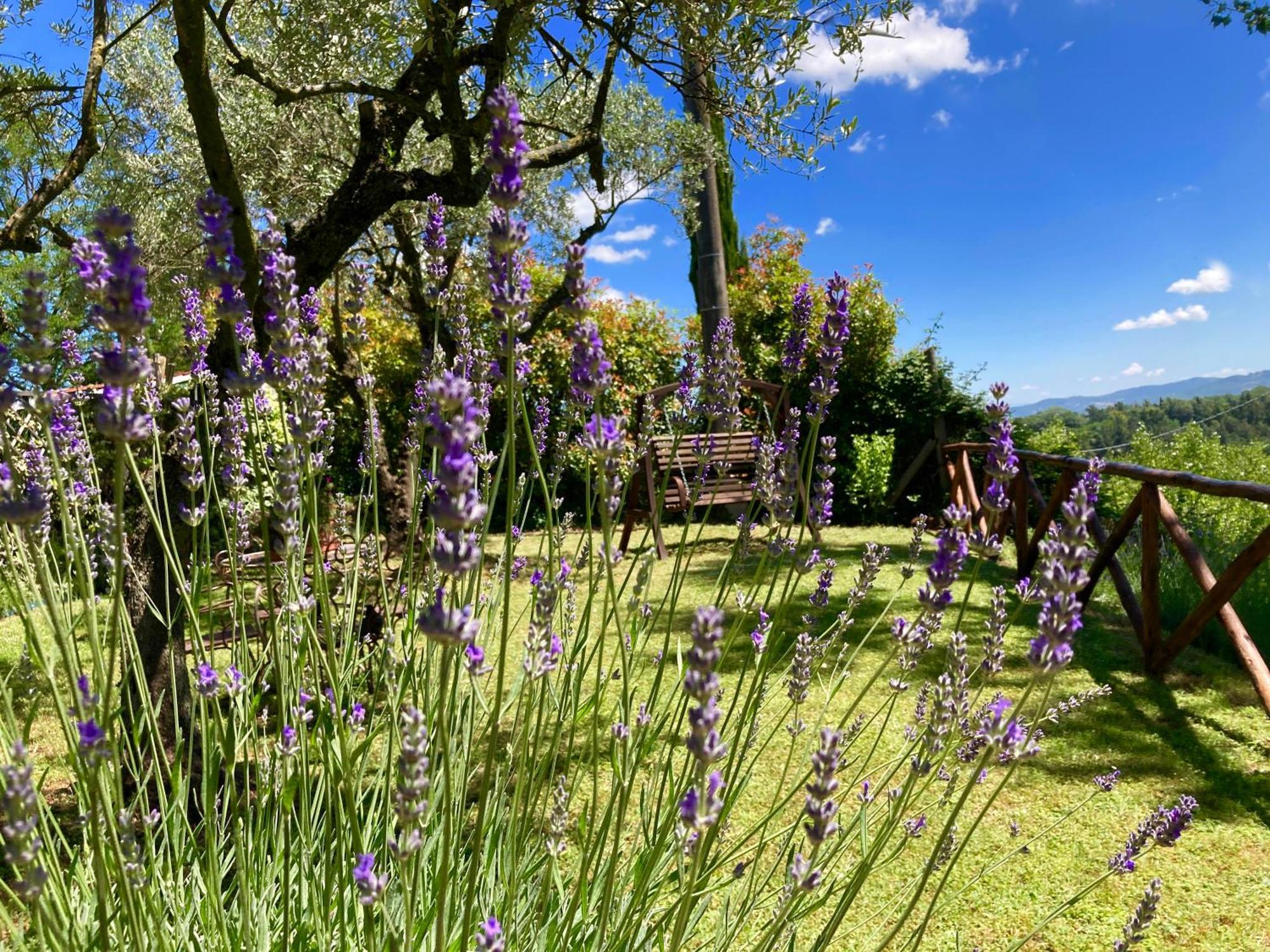 Grove Cottage: Immersed In Nature & Close To Town Citta della Pieve Exterior photo